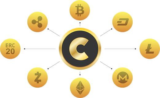 Bitcoin Profit - Az első 5 kriptovaluta az új kereskedők számára